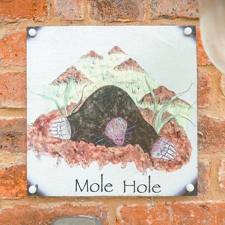 Апартаменти Mole Hole Тоустер Екстер'єр фото