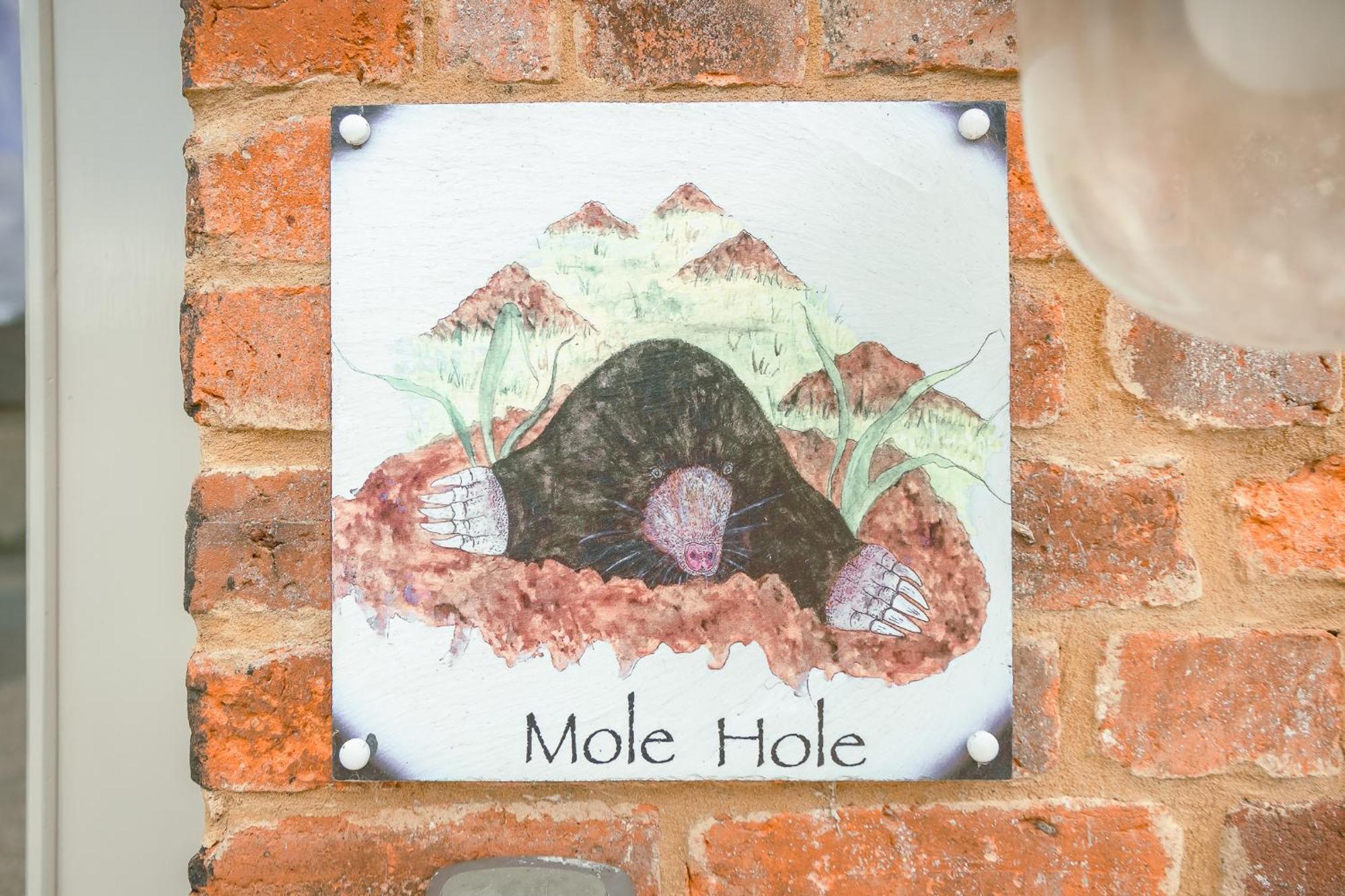 Апартаменти Mole Hole Тоустер Екстер'єр фото